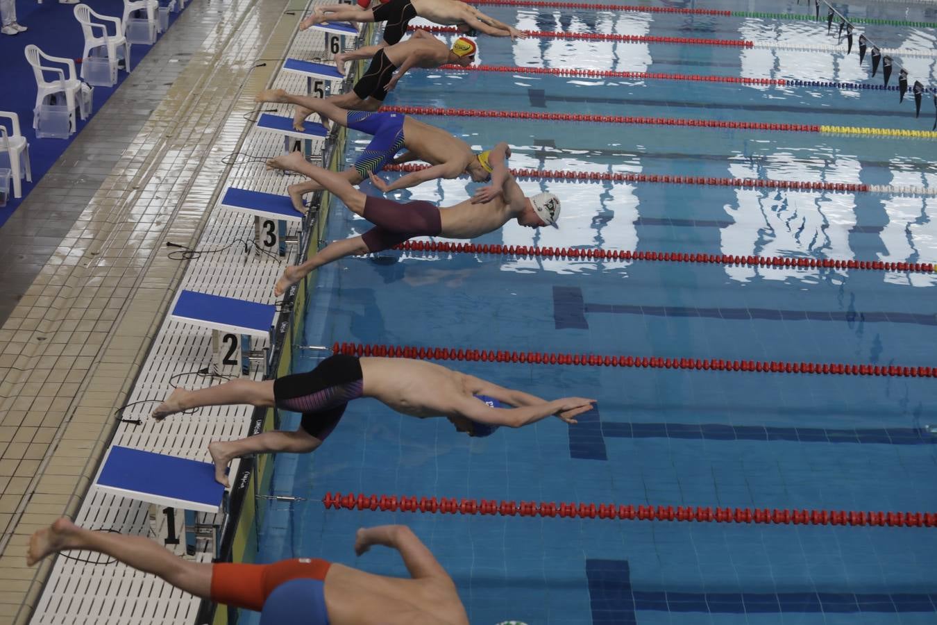 FOTOS: El Campeonato de España Infantil de natación en Cádiz