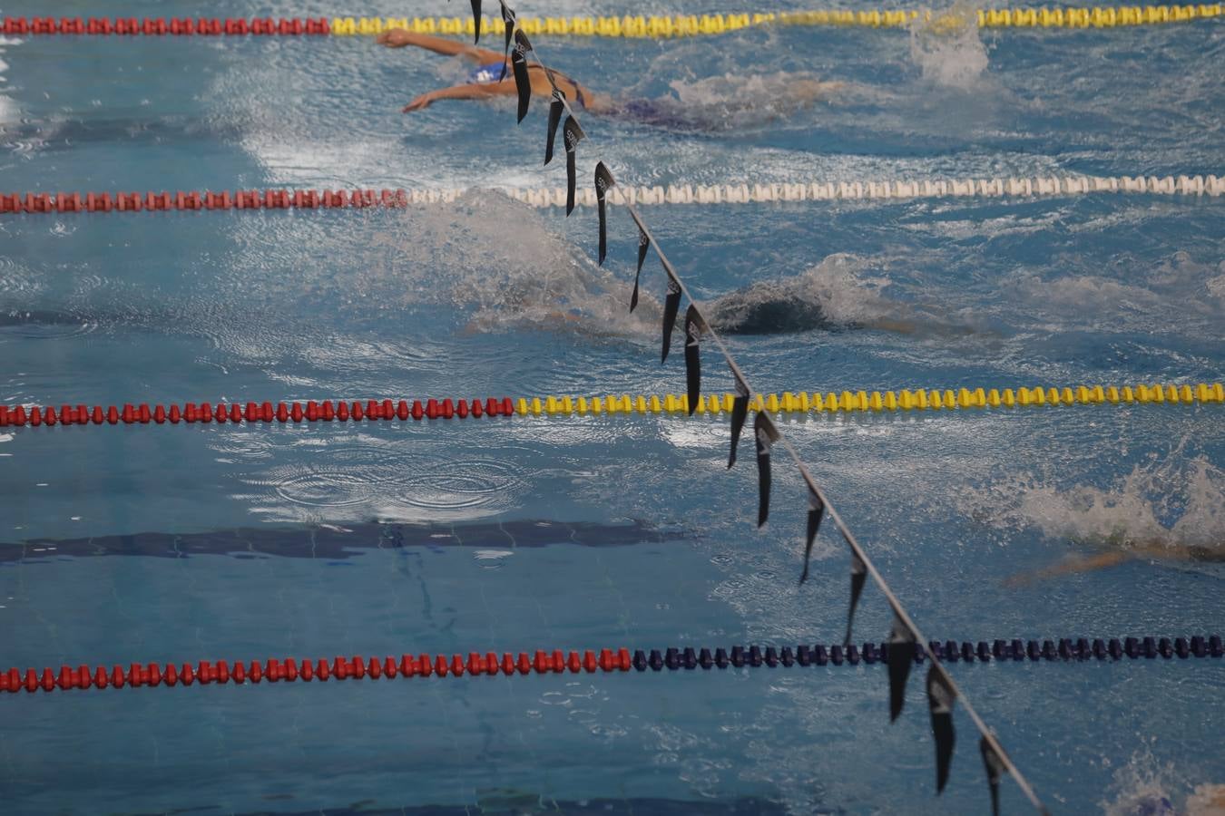 FOTOS: El Campeonato de España Infantil de natación en Cádiz