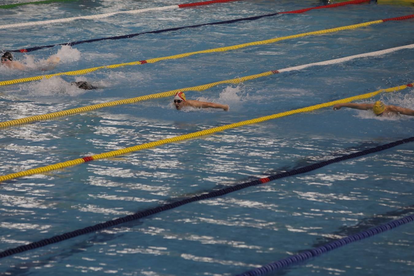 FOTOS: El Campeonato de España Infantil de natación en Cádiz