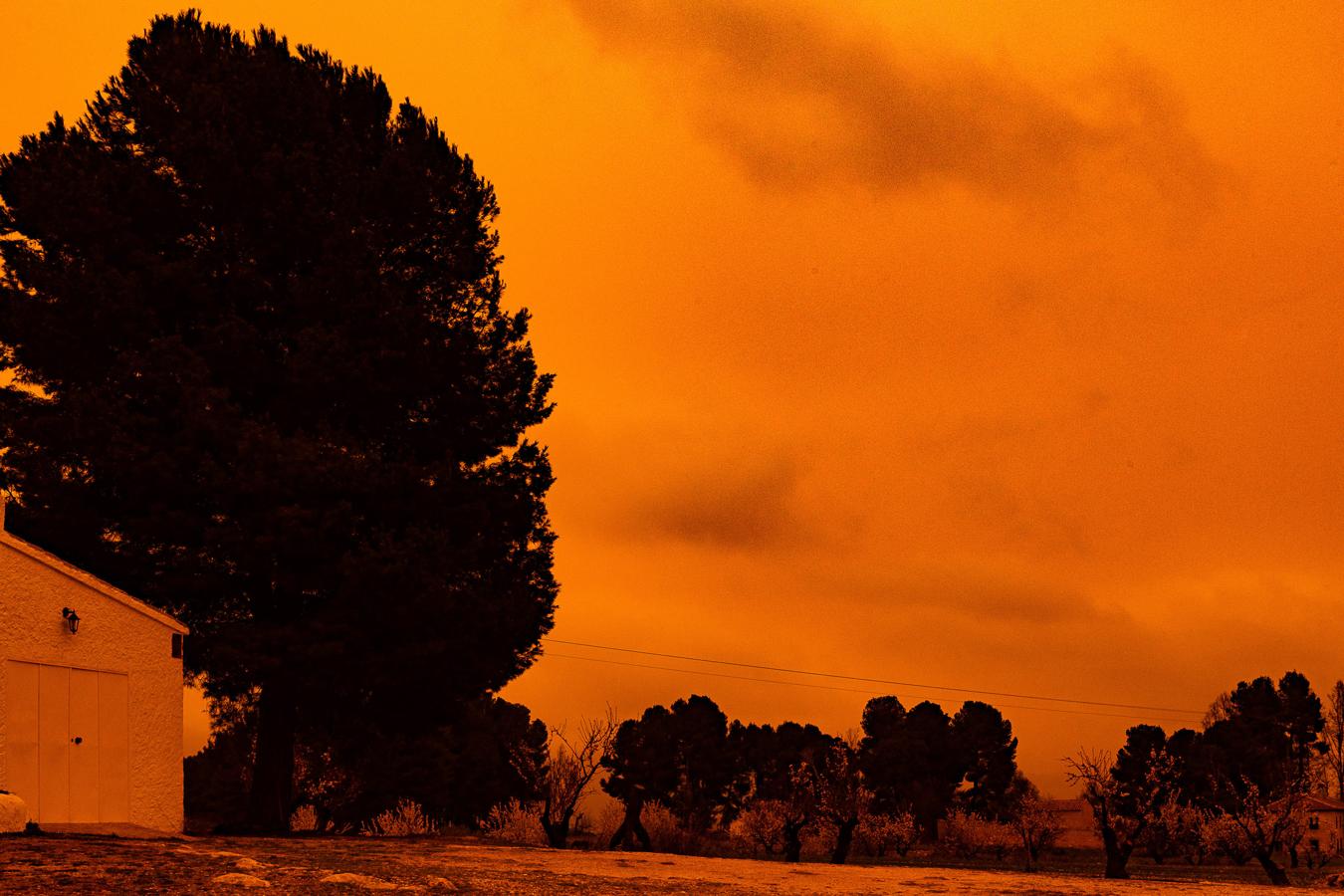 El cielo de Murcia se tiñe de naranja. La llegada de polvo sahariano tiñe el cielo de Murcia de color rojo