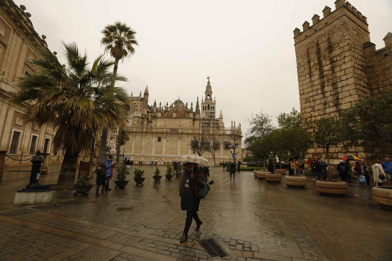 El tiempo en Sevilla: ¿Por qué ha amanecido la provincia cubierta por una capa de barro?