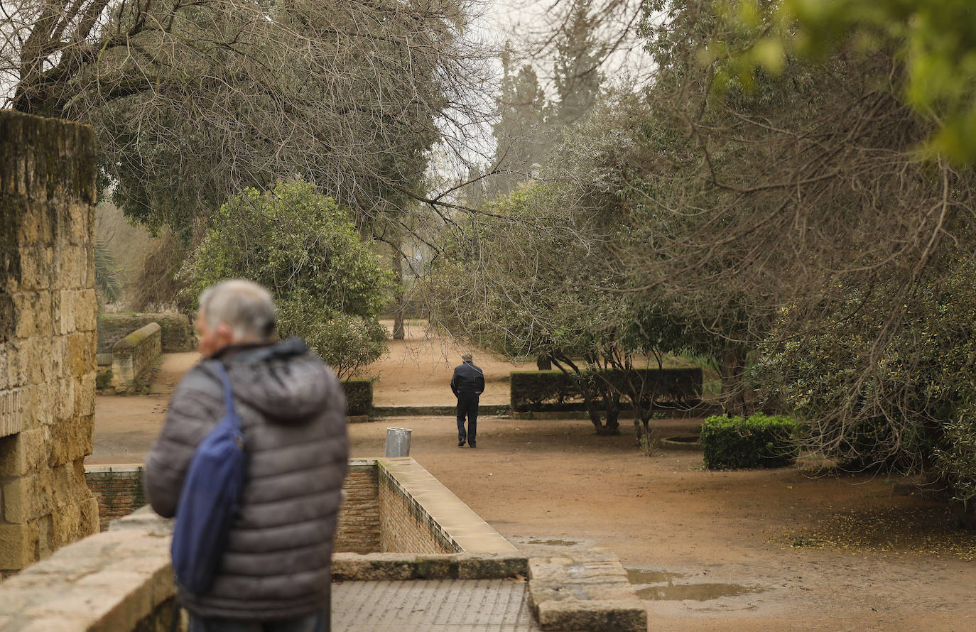 La avenida del Alcázar de Córdoba, en imágenes