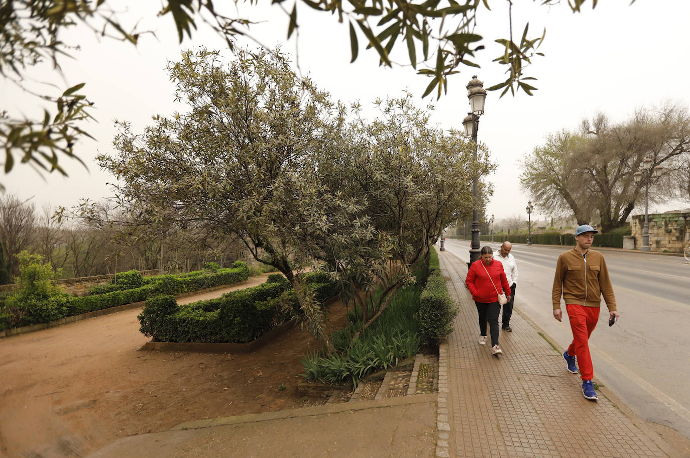 La avenida del Alcázar de Córdoba, en imágenes