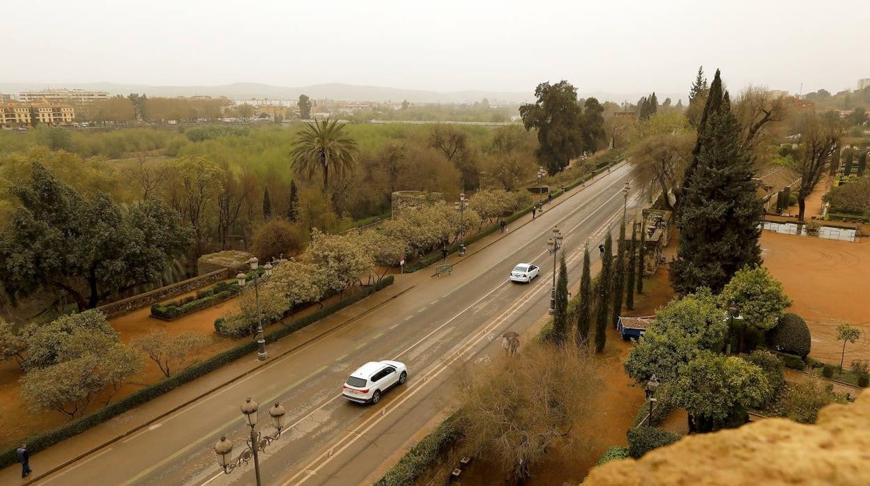 La avenida del Alcázar de Córdoba, en imágenes