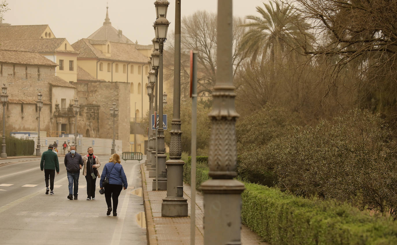 La avenida del Alcázar de Córdoba, en imágenes