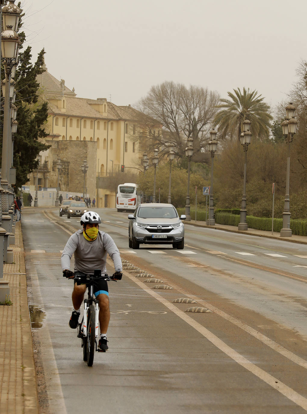 La avenida del Alcázar de Córdoba, en imágenes