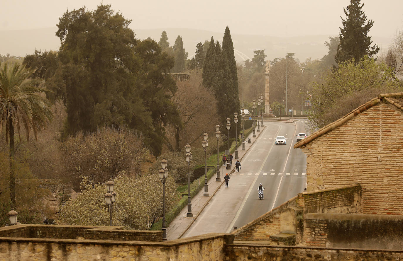 La avenida del Alcázar de Córdoba, en imágenes