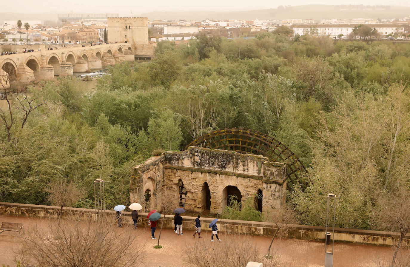 La avenida del Alcázar de Córdoba, en imágenes