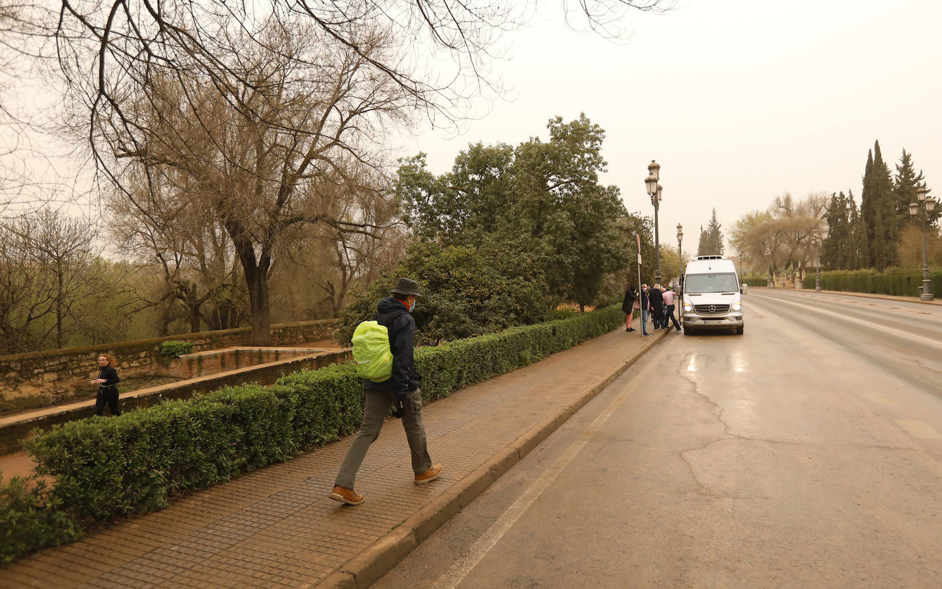 La avenida del Alcázar de Córdoba, en imágenes