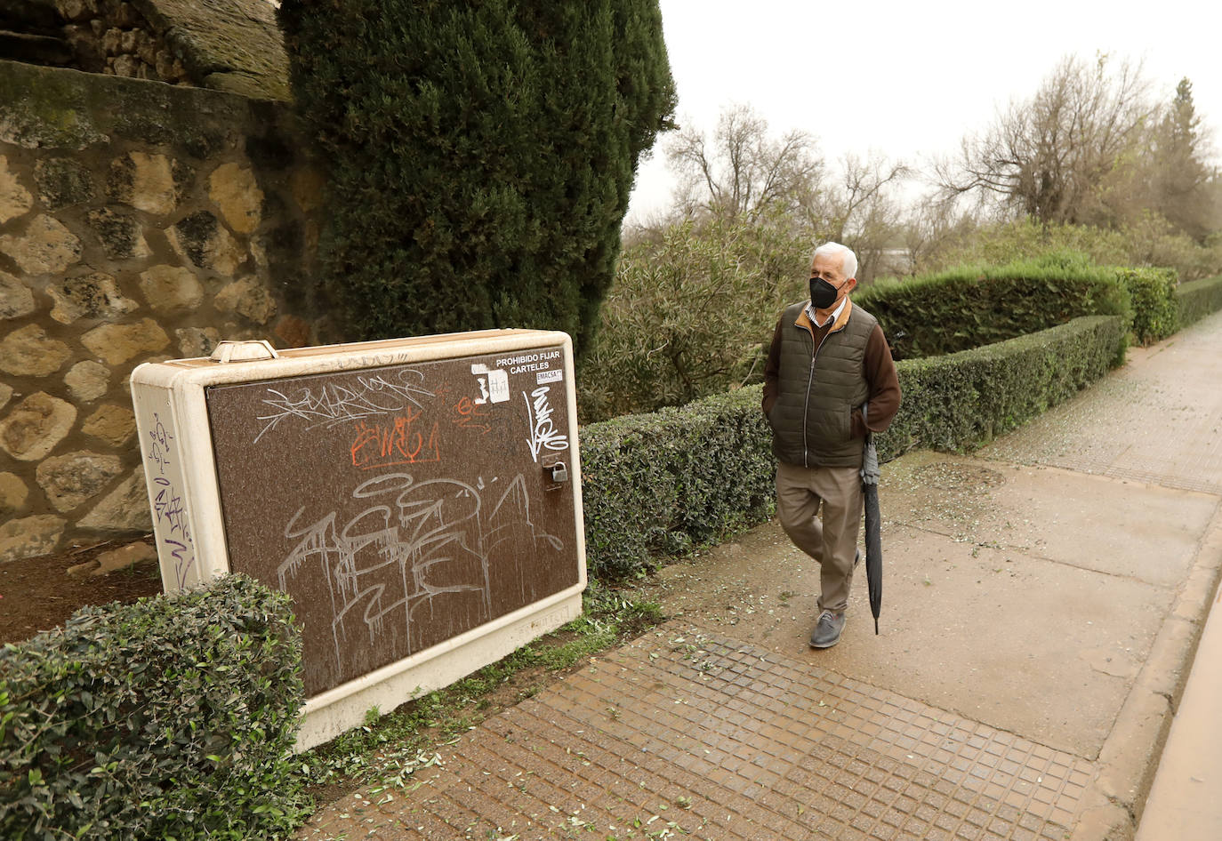 La avenida del Alcázar de Córdoba, en imágenes