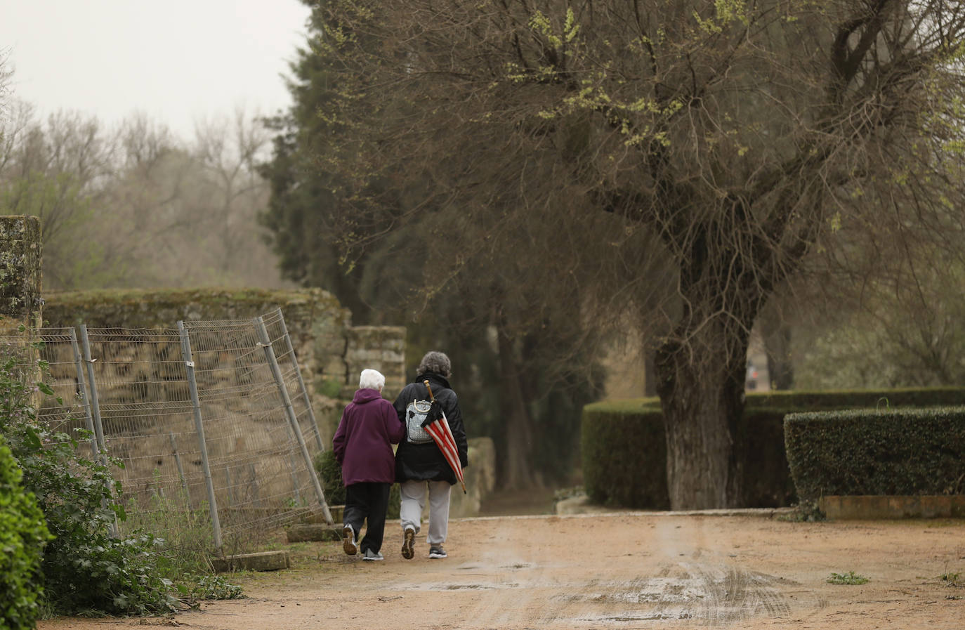 La avenida del Alcázar de Córdoba, en imágenes