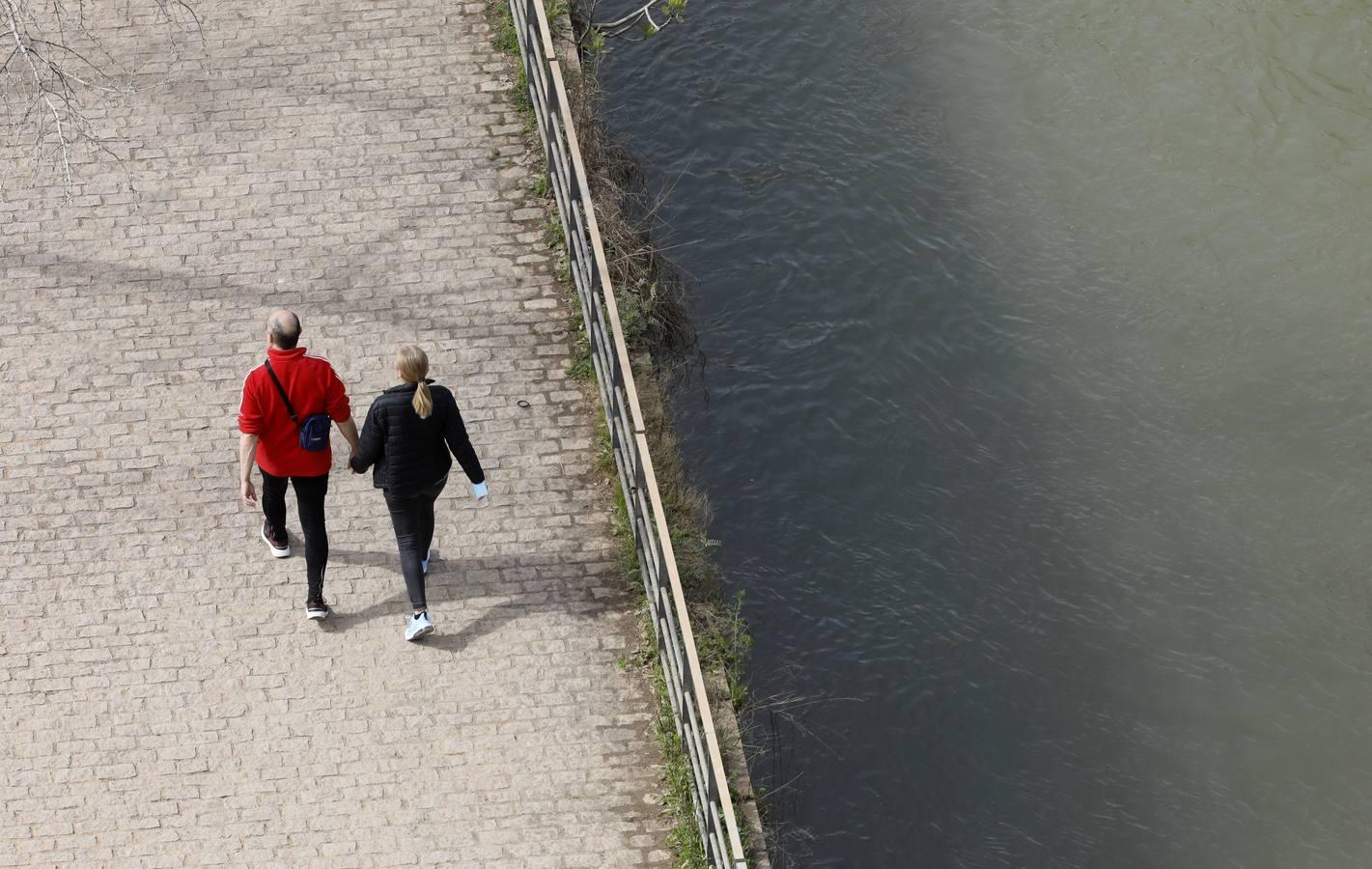 El río y sus proyectos pendientes en Córdoba, en imágenes