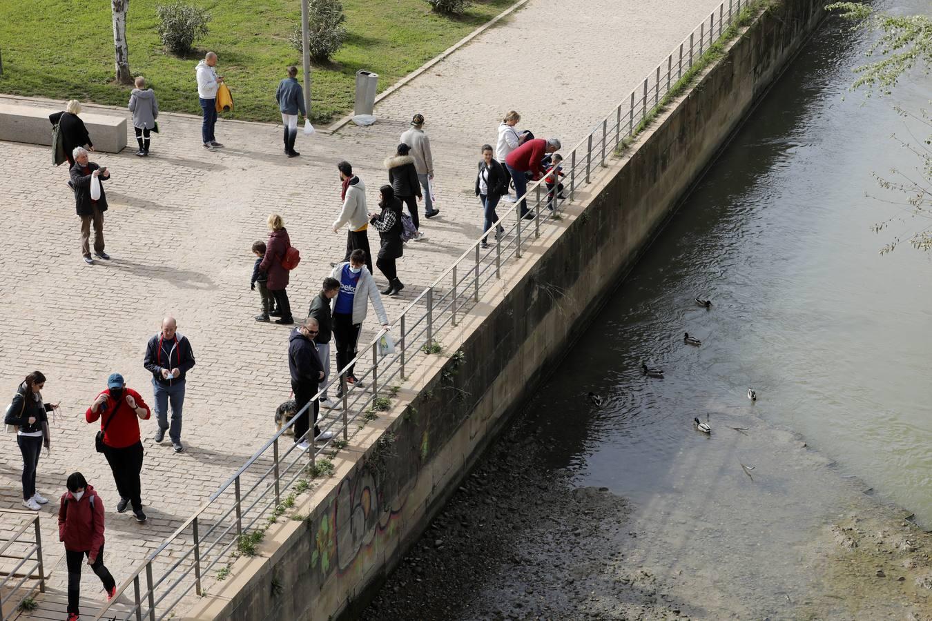 El río y sus proyectos pendientes en Córdoba, en imágenes