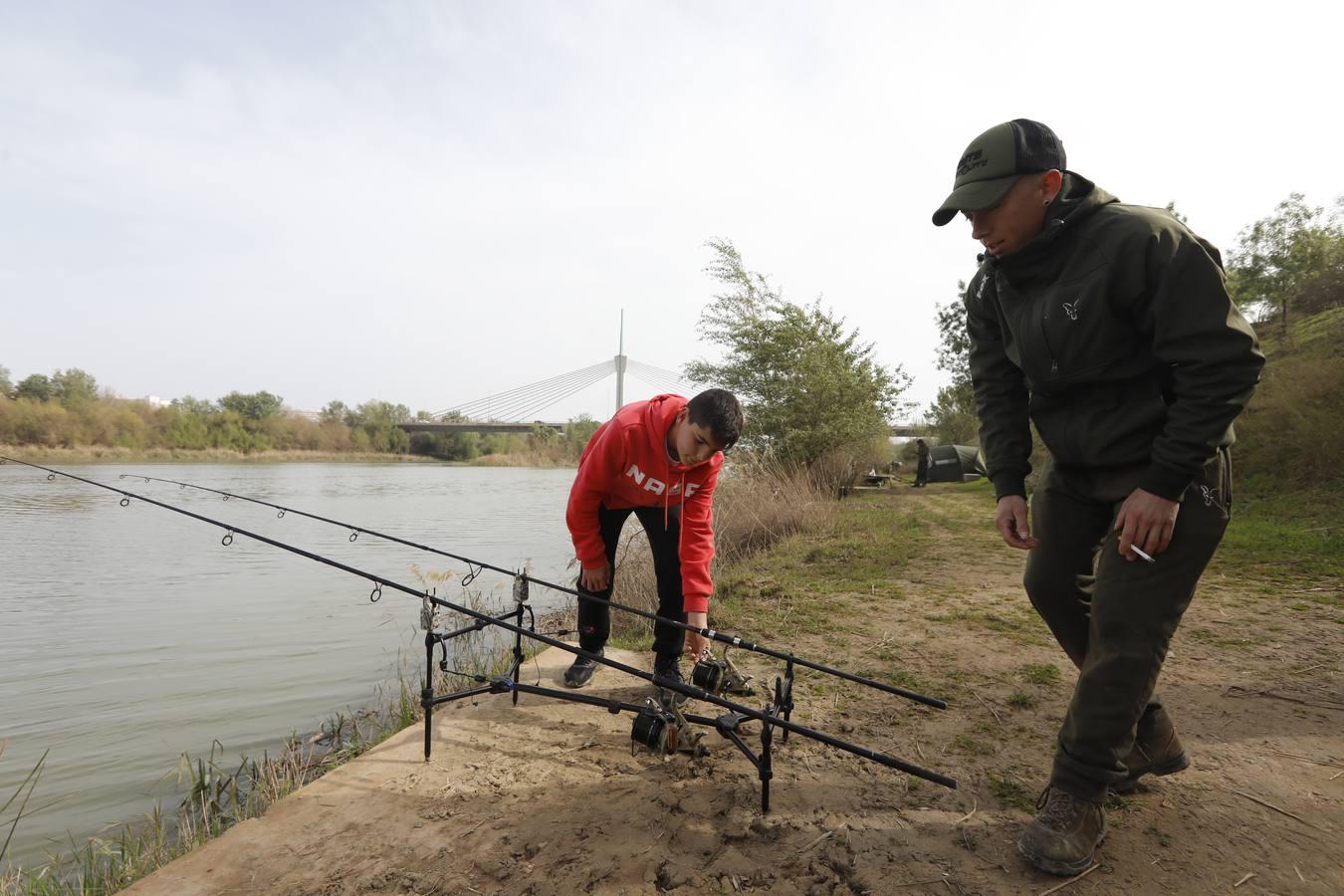 El río y sus proyectos pendientes en Córdoba, en imágenes