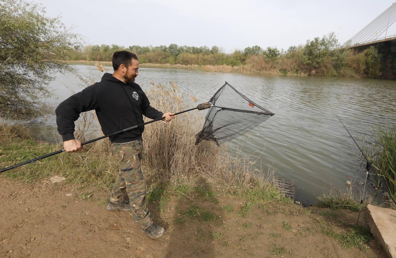 El río y sus proyectos pendientes en Córdoba, en imágenes