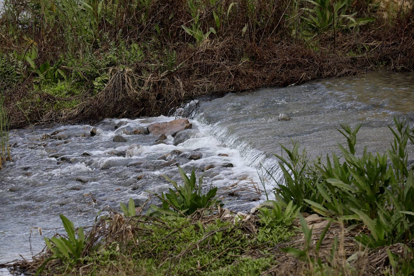 El río y sus proyectos pendientes en Córdoba, en imágenes