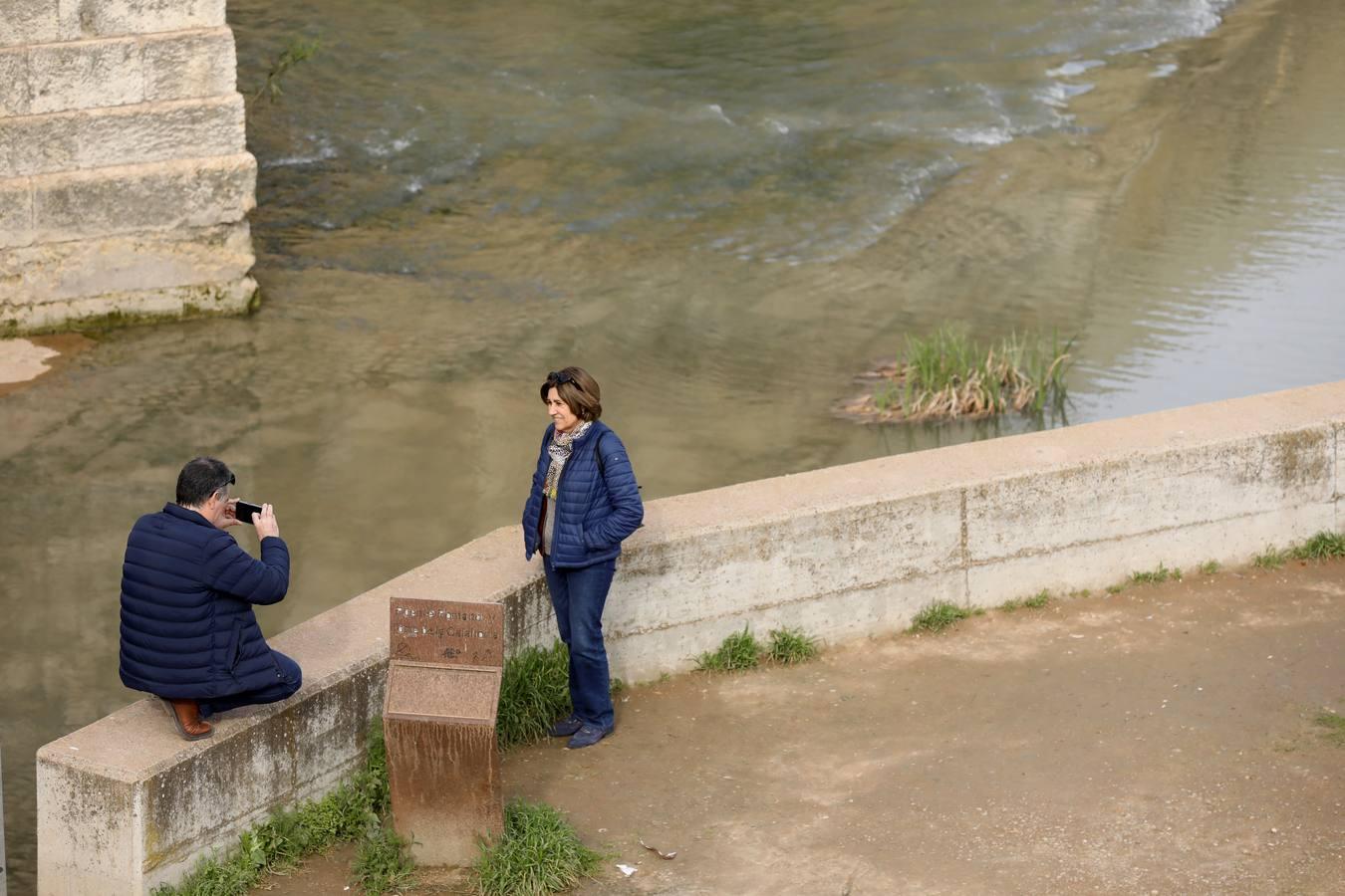 El río y sus proyectos pendientes en Córdoba, en imágenes