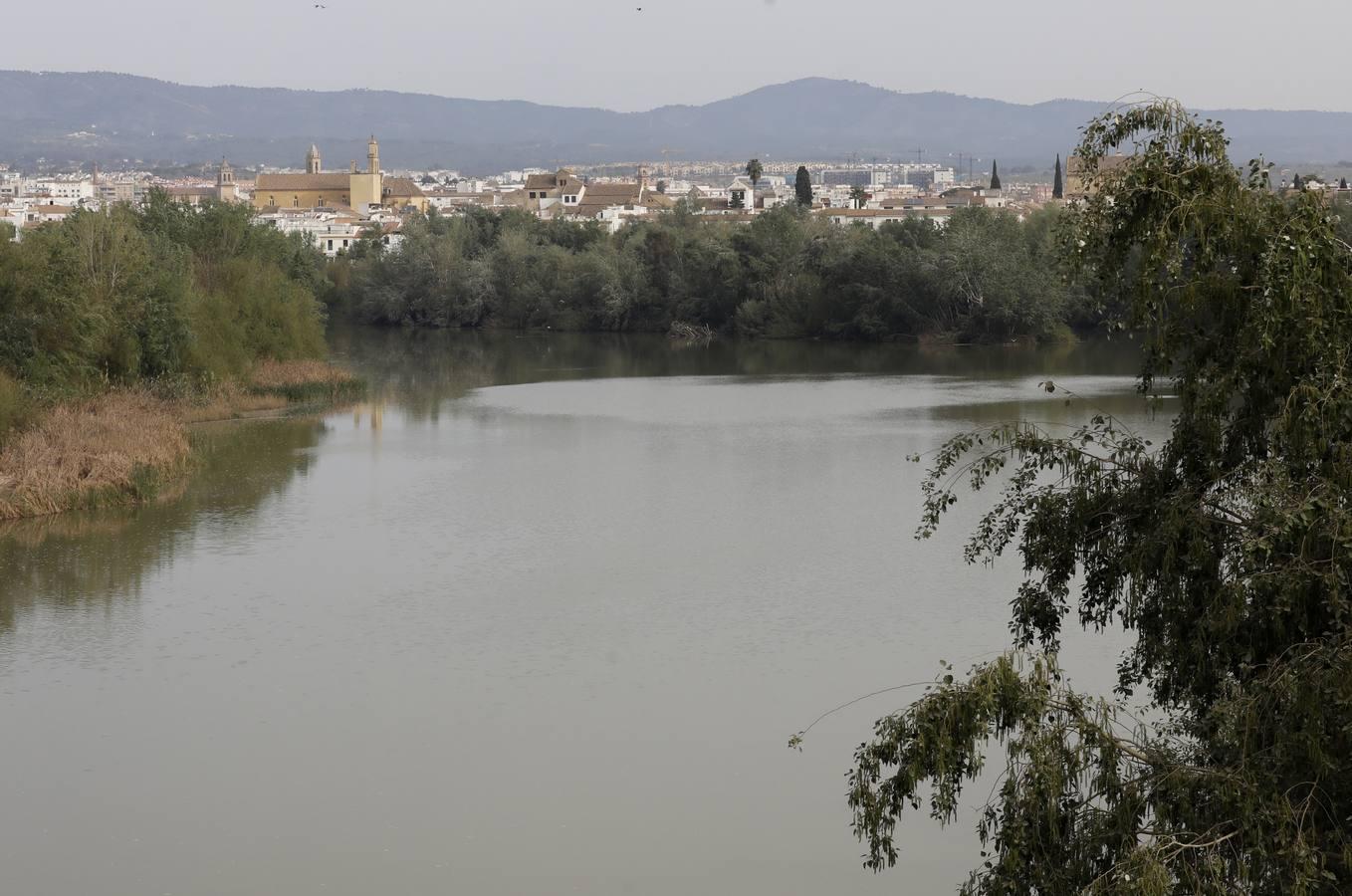 El río y sus proyectos pendientes en Córdoba, en imágenes