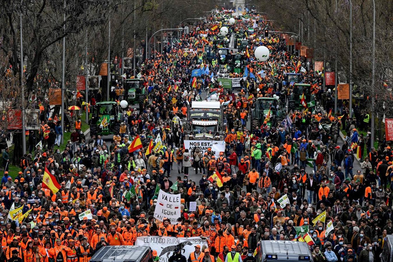 Las principales organizaciones de agricultores y ganaderos, junto a entidades de los sectores de la caza y los toros, han comenzado a las 11.00 una manifestación con el lema 'Juntos por el campo' que transcurre desde la sede del Ministerio de Agricultura (glorieta de Atocha) hasta la del Ministerio de Transición Ecológica y Reto Demográfico (Nuevos Ministerios). 