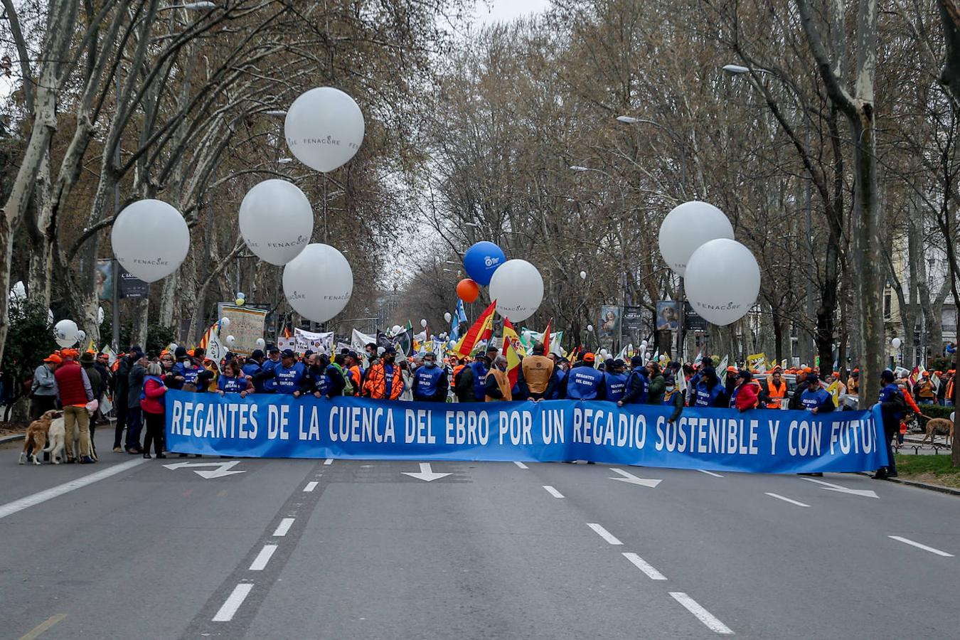 Varios manifestantes con una pancarta que reza 'Regantes de la cuenca del Ebro por un regadío sostenible' en la marcha '20M'. 