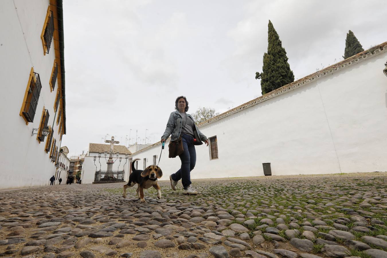 En imágenes, el aspecto de la plaza de Capuchinos de Córdoba sin cables