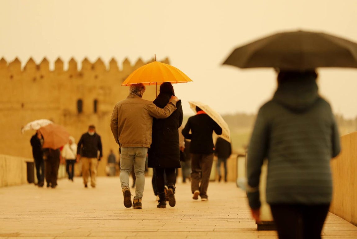 En imágenes, la estela de la calima regresa a Córdoba