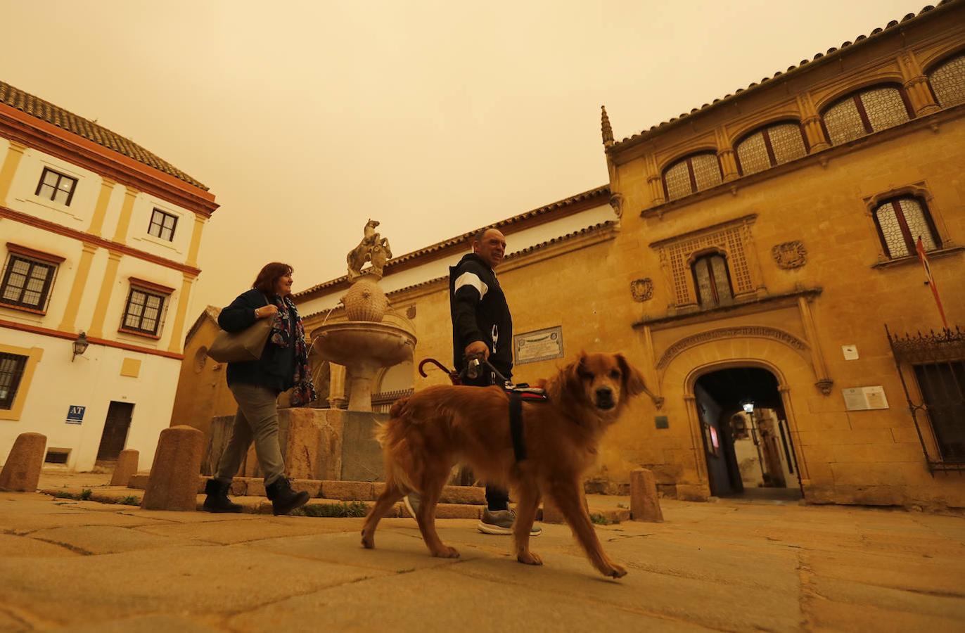 En imágenes, la estela de la calima regresa a Córdoba