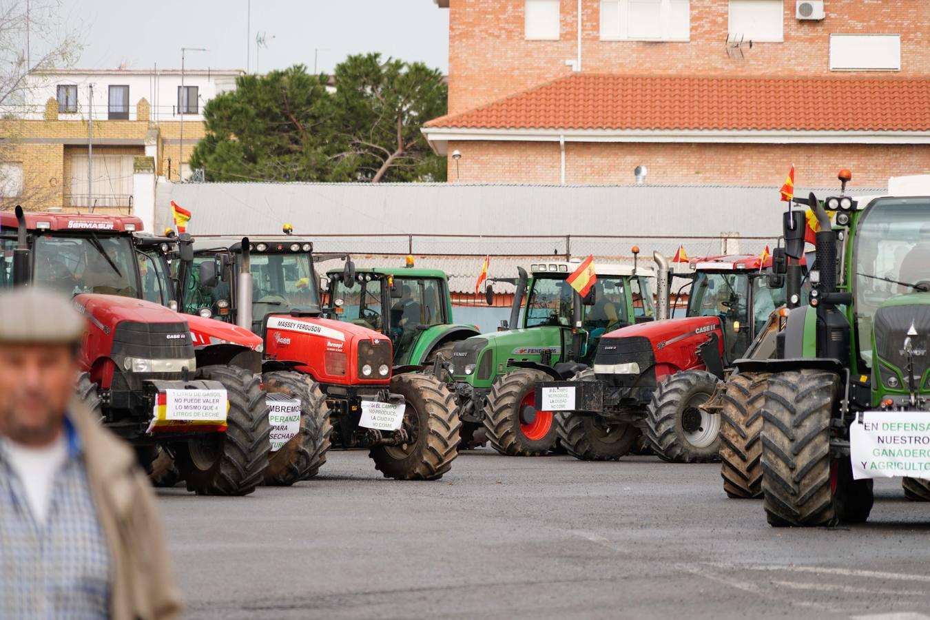 Las rotundas tractoradas de protesta del campo en Córdoba, en imágenes