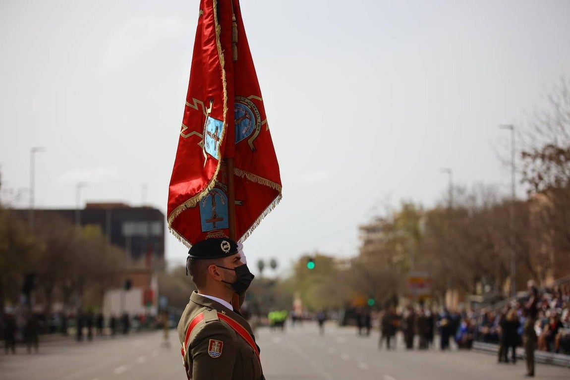 La solemne jura civil de bandera en Córdoba, en imágenes