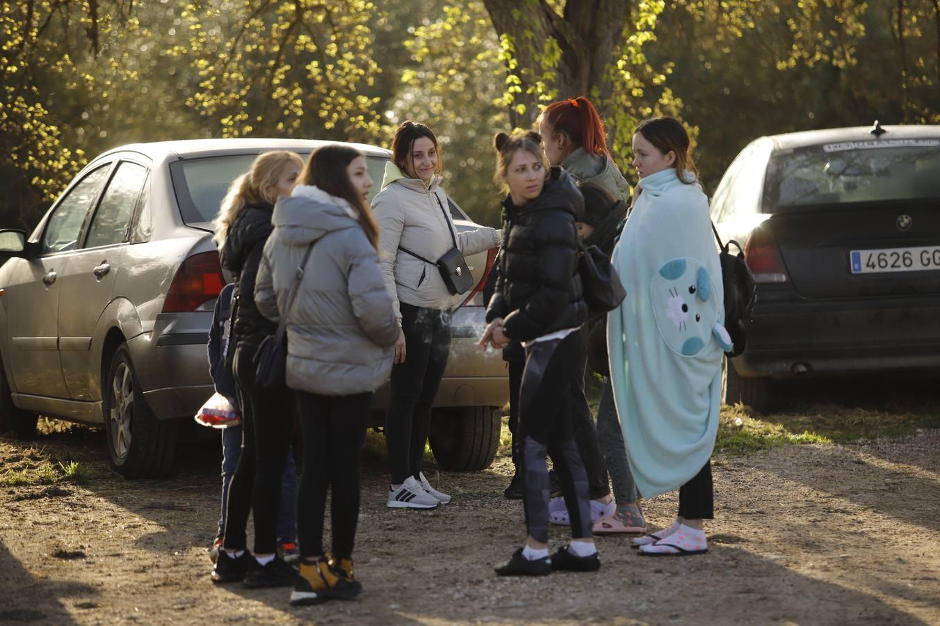 La llegada de refugiados de Ucrania a Córdoba, en imágenes