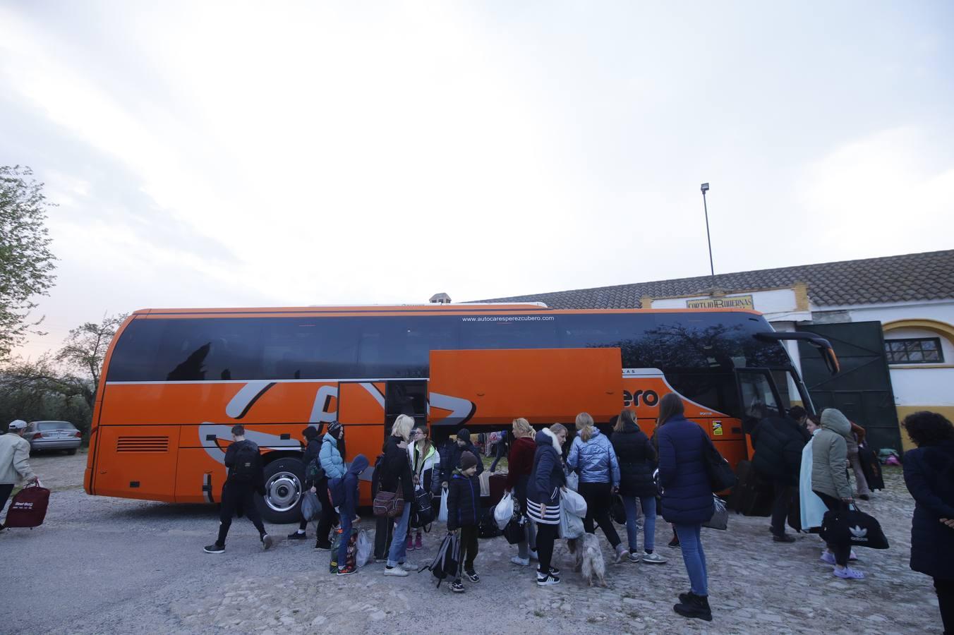 La llegada de refugiados de Ucrania a Córdoba, en imágenes