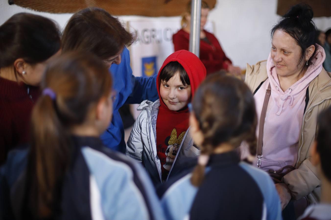 La llegada de refugiados de Ucrania a Córdoba, en imágenes