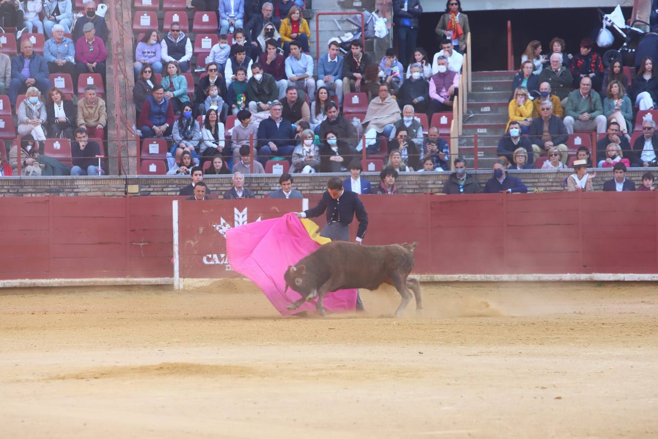 En imágenes, los nuevos valores en la becerrada del Círculo Taurino de Córdoba