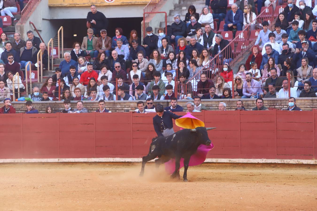 En imágenes, los nuevos valores en la becerrada del Círculo Taurino de Córdoba