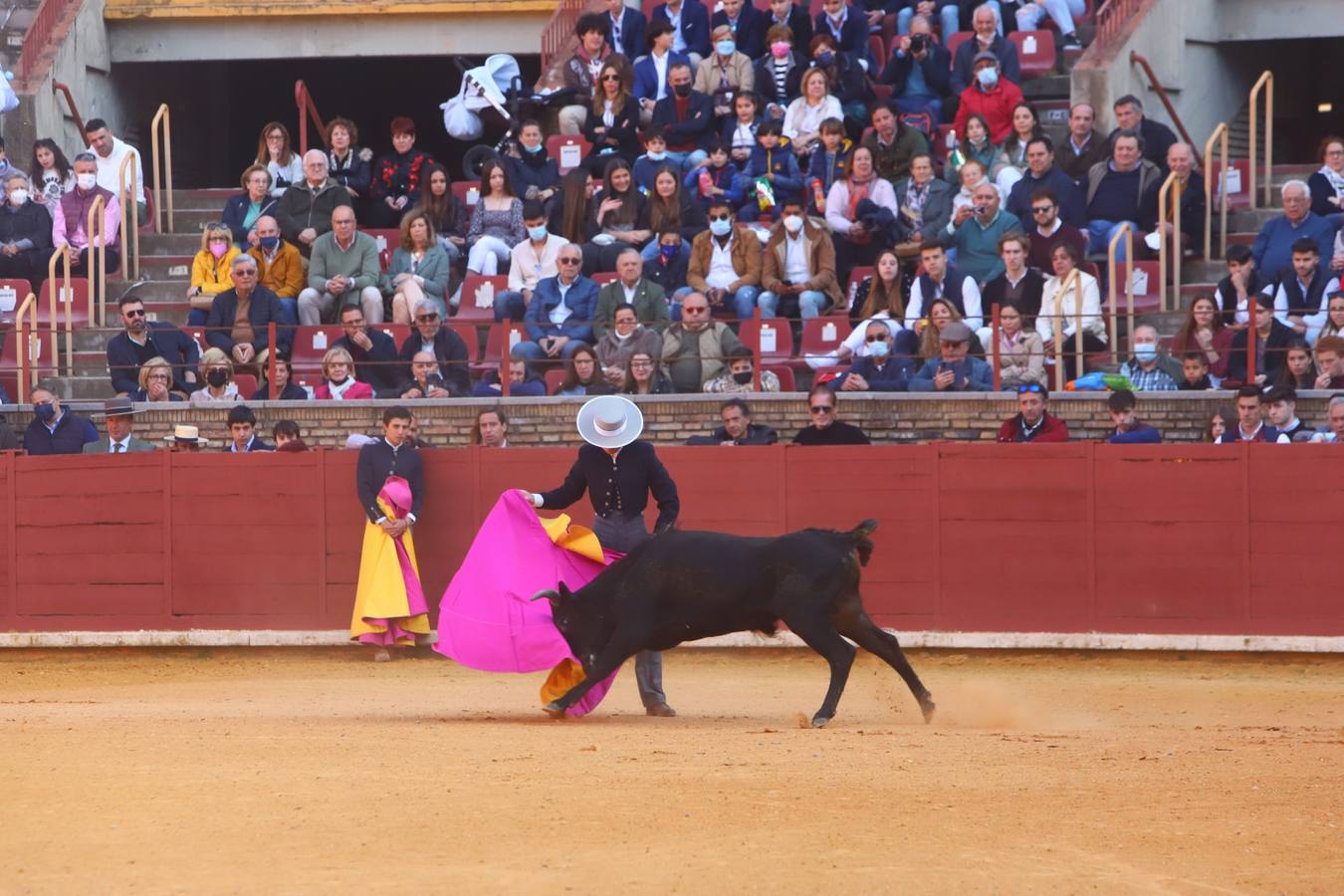 En imágenes, los nuevos valores en la becerrada del Círculo Taurino de Córdoba