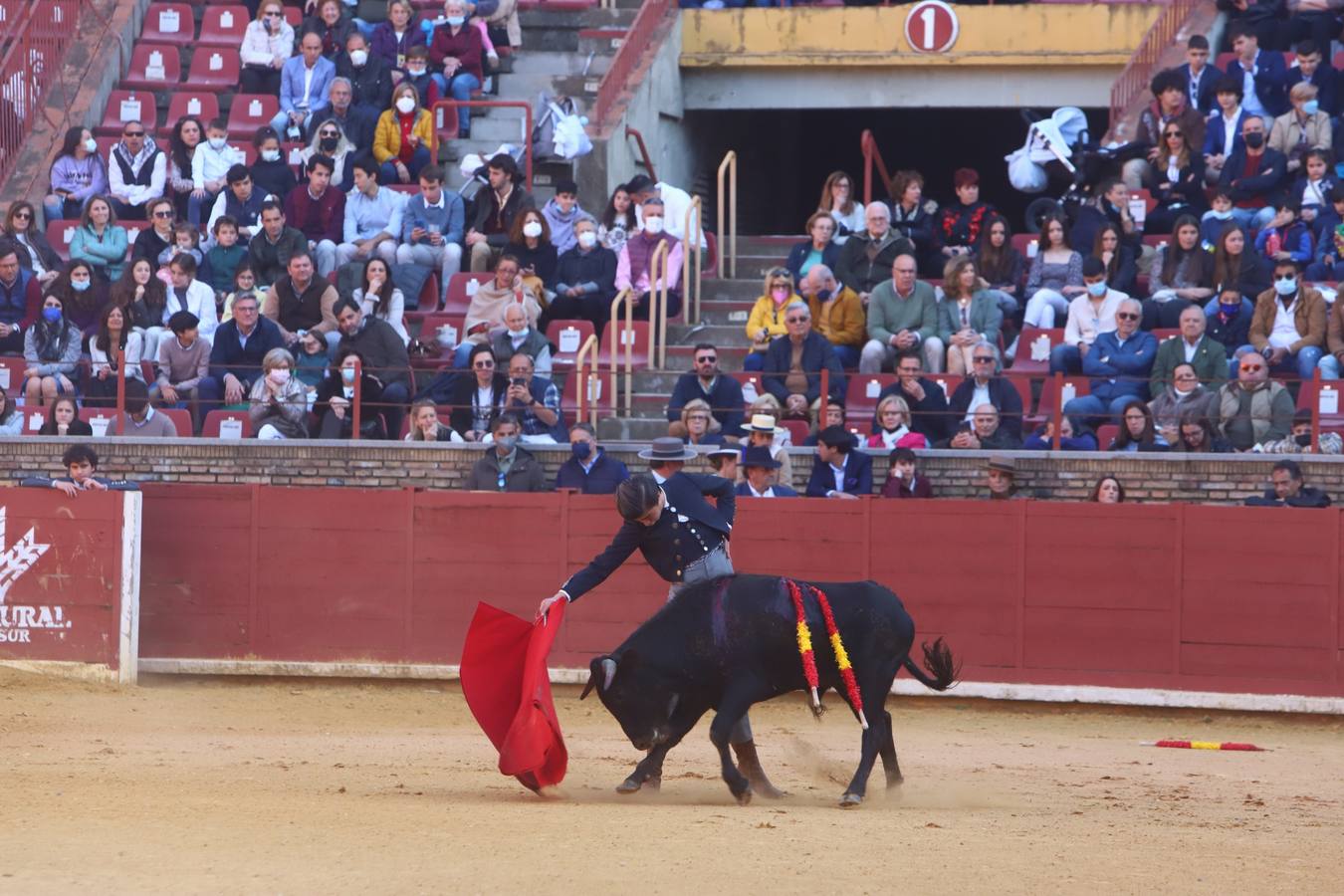 En imágenes, los nuevos valores en la becerrada del Círculo Taurino de Córdoba