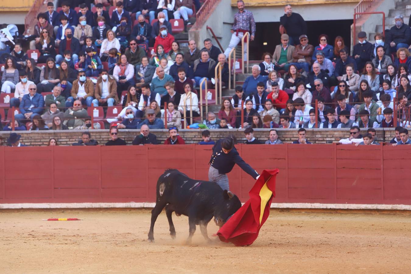 En imágenes, los nuevos valores en la becerrada del Círculo Taurino de Córdoba