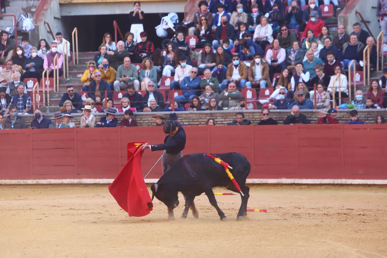 En imágenes, los nuevos valores en la becerrada del Círculo Taurino de Córdoba