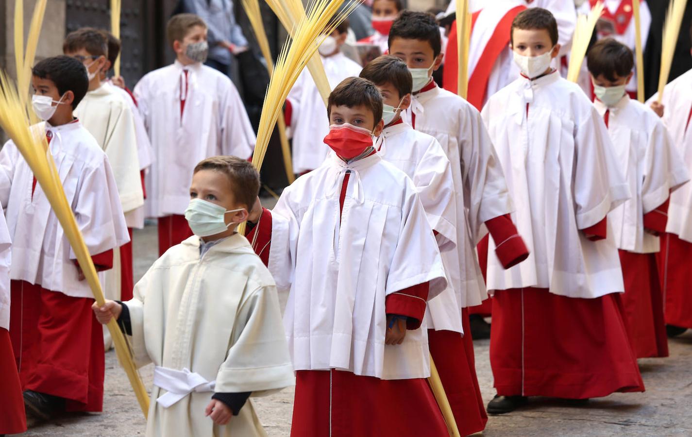 Domingo de Ramos, en imágenes