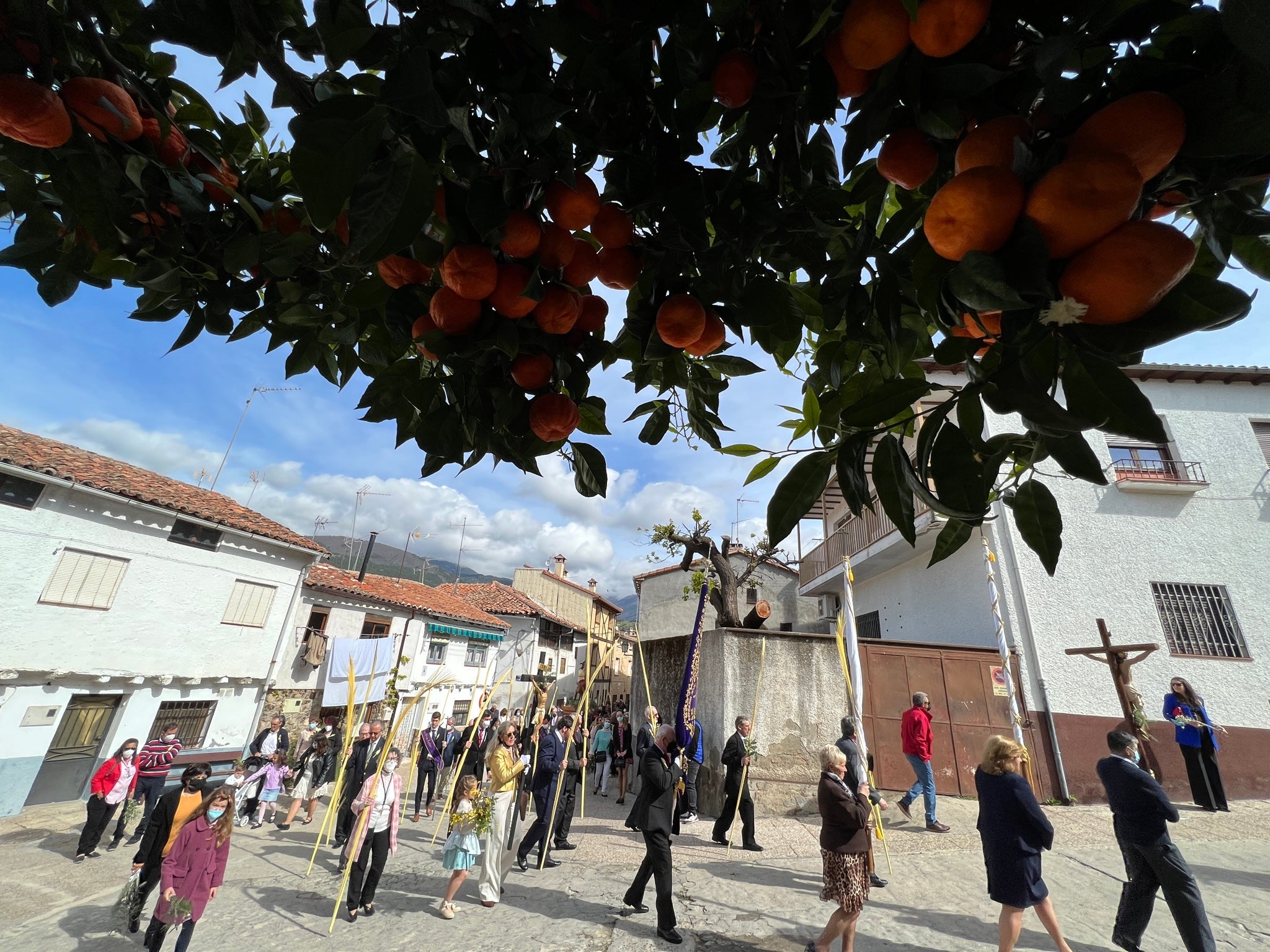 Procesión de Las Palmas en Candeleda (Ávila). 