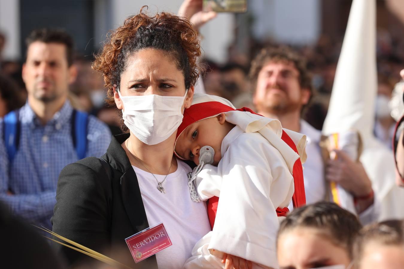 La vibrante salida de la Borriquita en el Domingo de Ramos de Córdoba, en imágenes