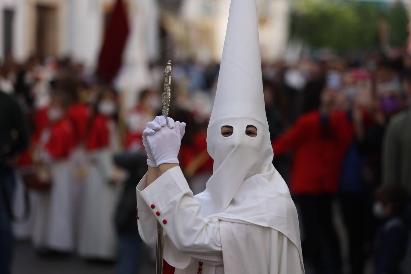 La vibrante salida de la Borriquita en el Domingo de Ramos de Córdoba, en imágenes