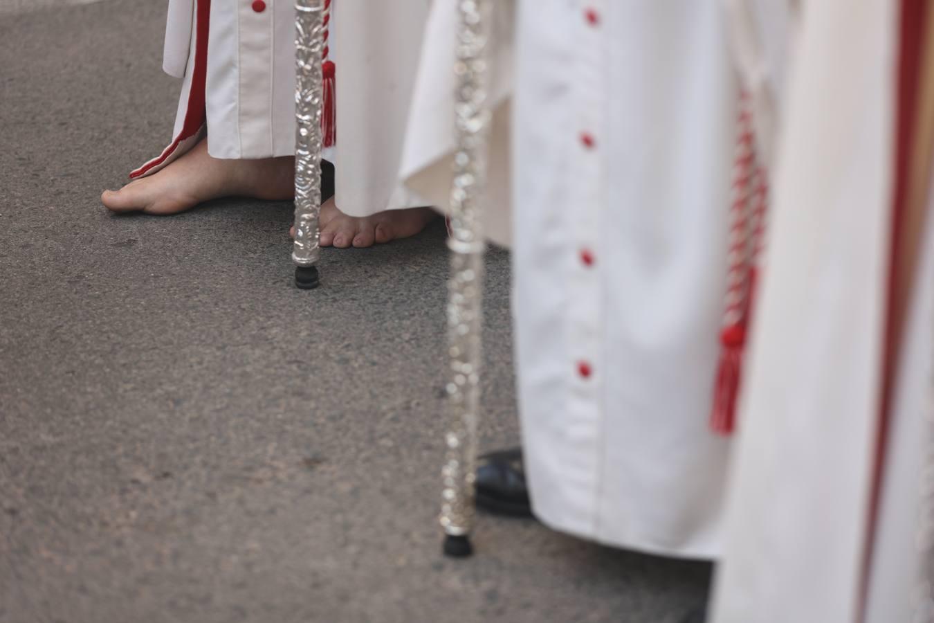 La vibrante salida de la Borriquita en el Domingo de Ramos de Córdoba, en imágenes