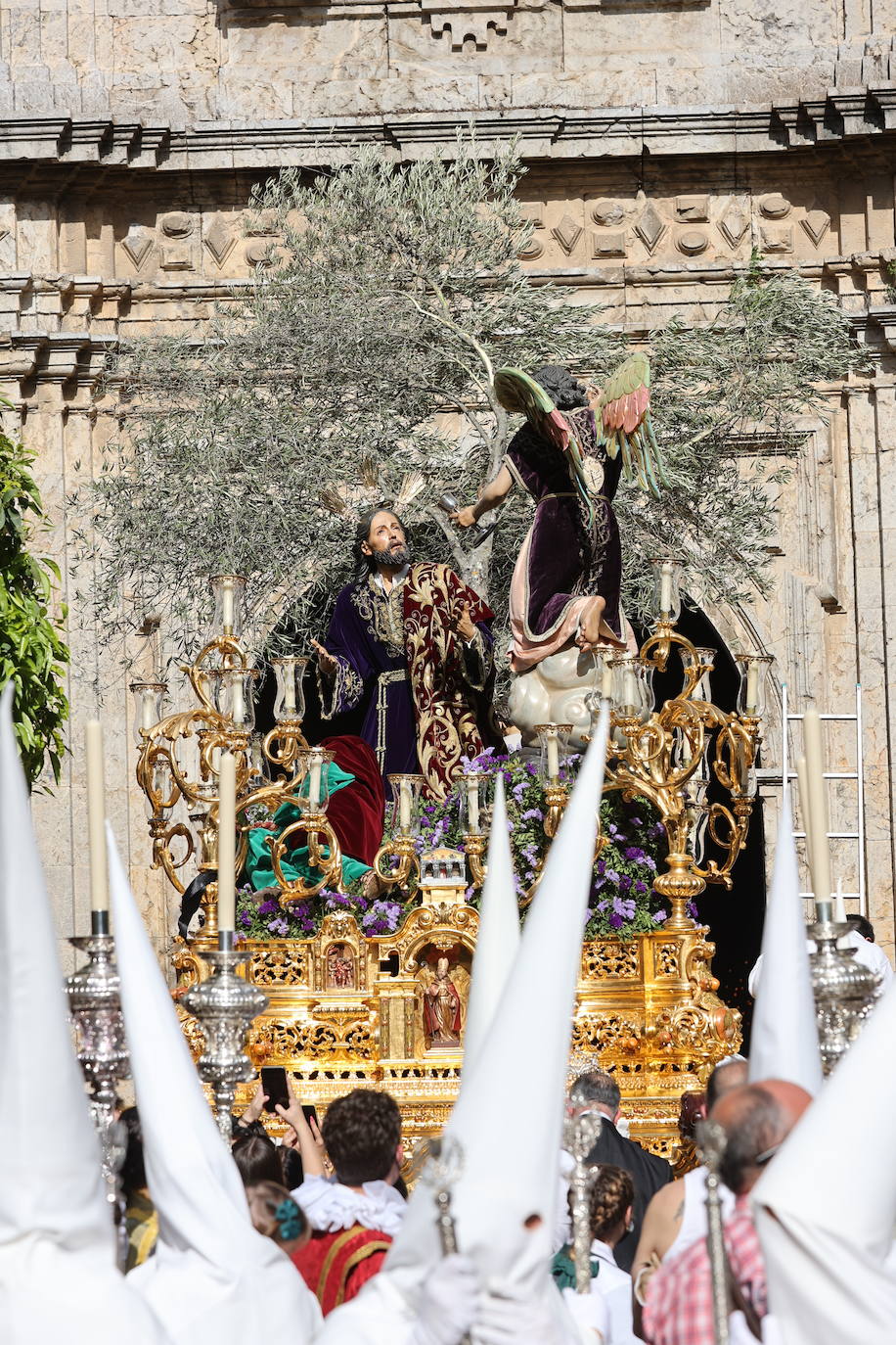 La hermandad del Huerto ilumina Córdoba el Domingo de Ramos