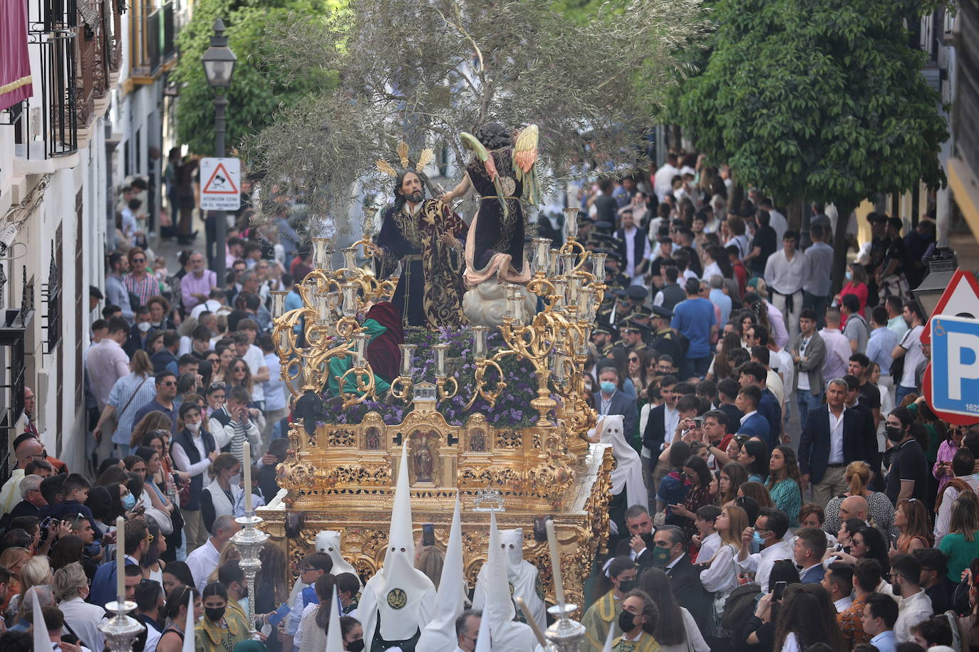 La hermandad del Huerto ilumina Córdoba el Domingo de Ramos