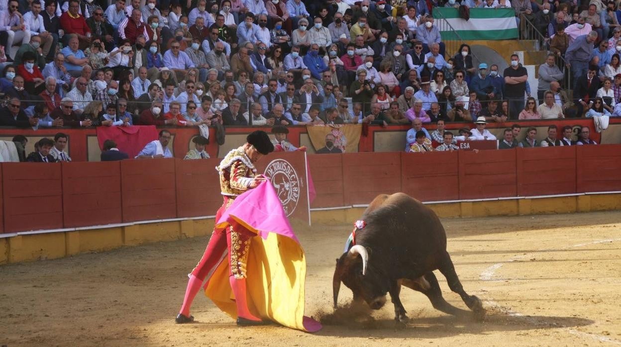 La corrida de toros de Cabra, en imágenes