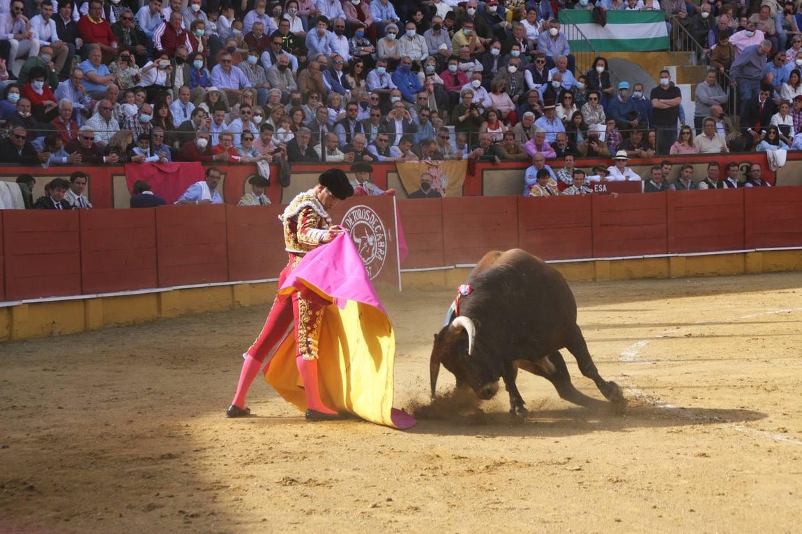 La corrida de toros de Cabra, en imágenes