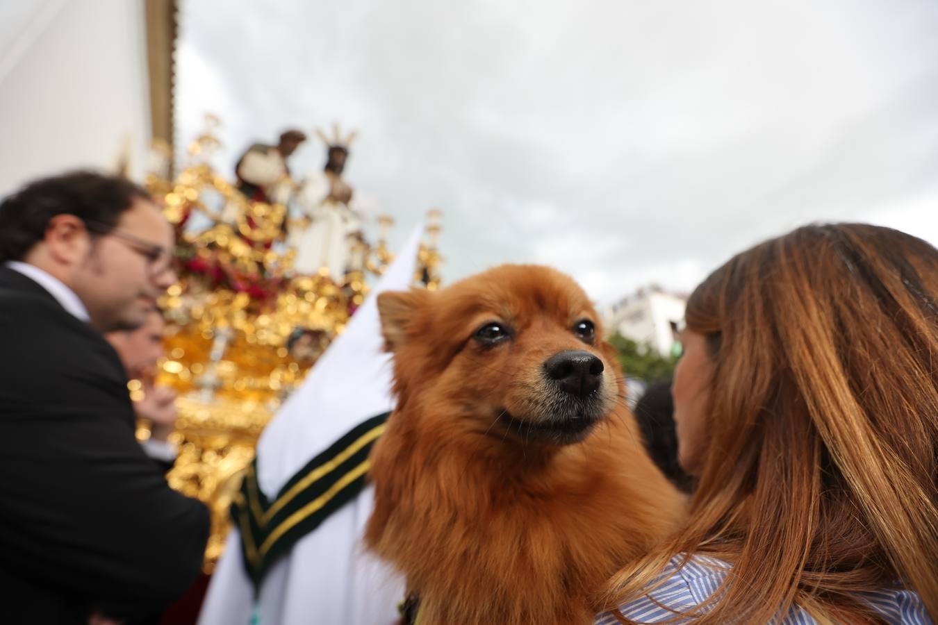 Miércoles Santo | La triunfal procesión de La Paz en Córdoba, en imágenes