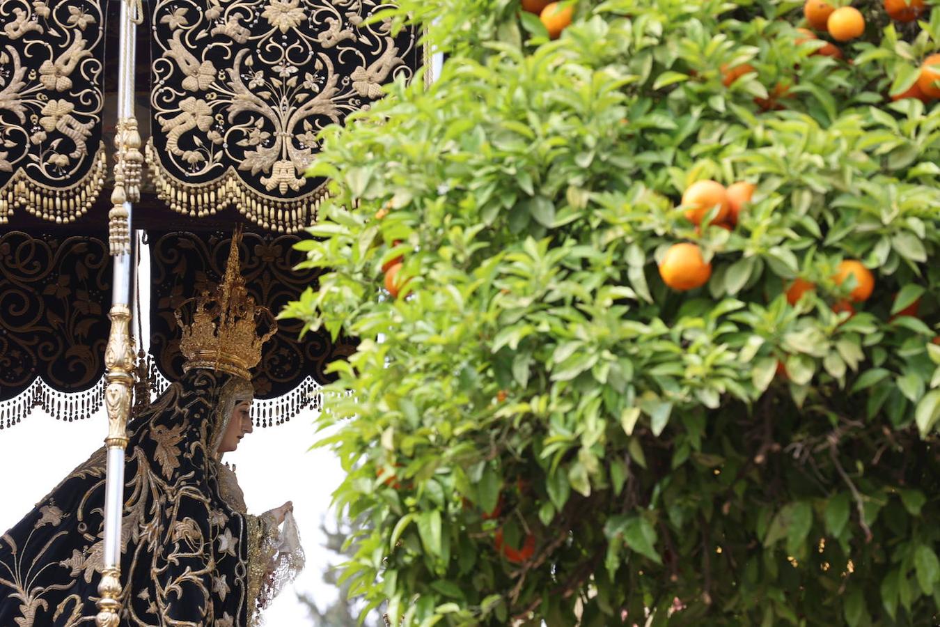 Jueves Santo | La radiante procesión del Caído de Córdoba, en imágenes