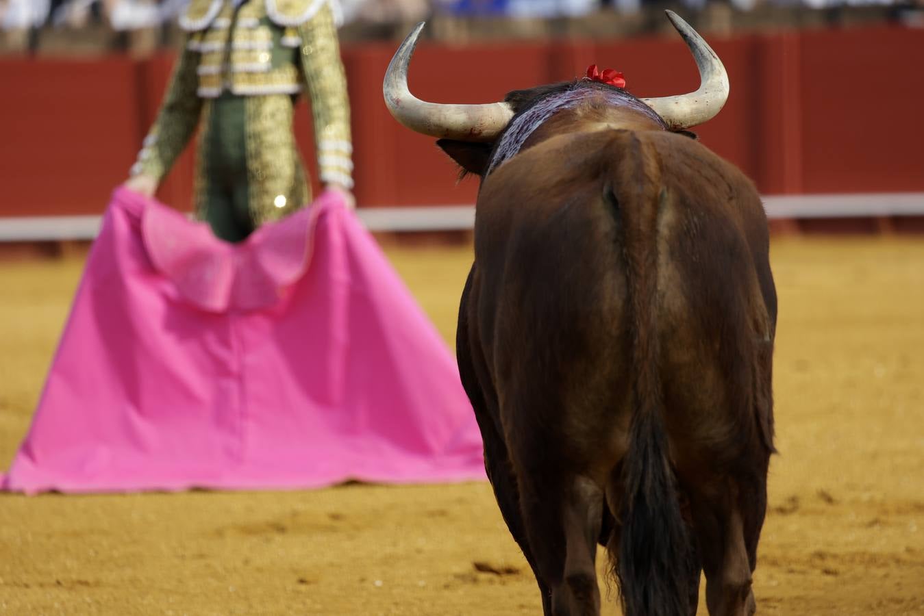 Corrida del Domingo de Resurrección en Sevilla con Morante de la Puebla, Juan Ortega y Pablo Aguado. JUAN FLORES